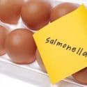 Massive Egg Recall due to Possible Salmonella