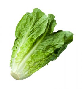 Unsafe to Consume Romaine Lettuce