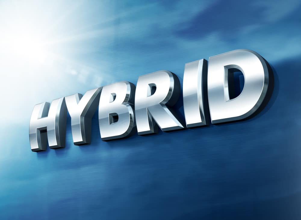 hybrid text