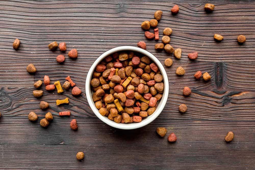 Two Types of Dog Food Recalled | Berger and Green Attorneys
