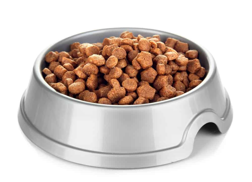 Nine Brands of Dog Food Recalled | Berger and Green Attorneys
