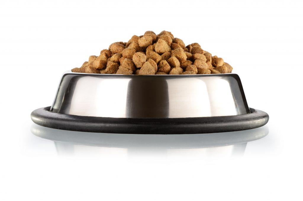 Three Types of Dog Food Recalled Berger & Green Lawyers